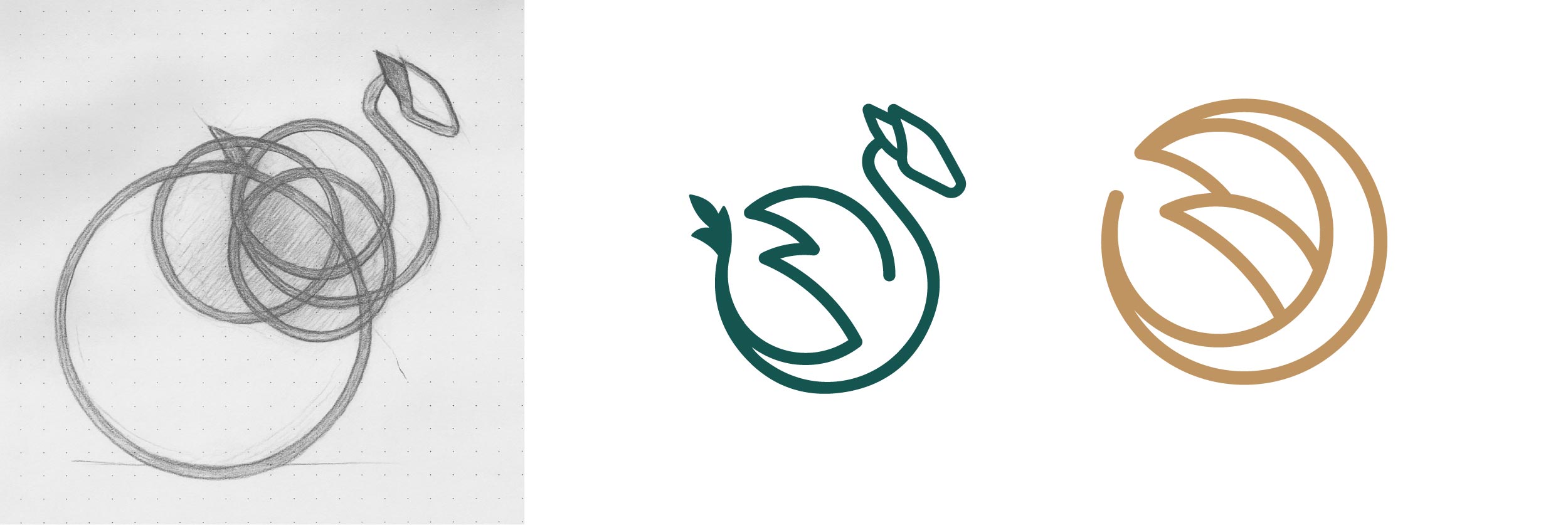 création logo novoden startup de la tech